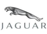 Jaguar per cosmesi