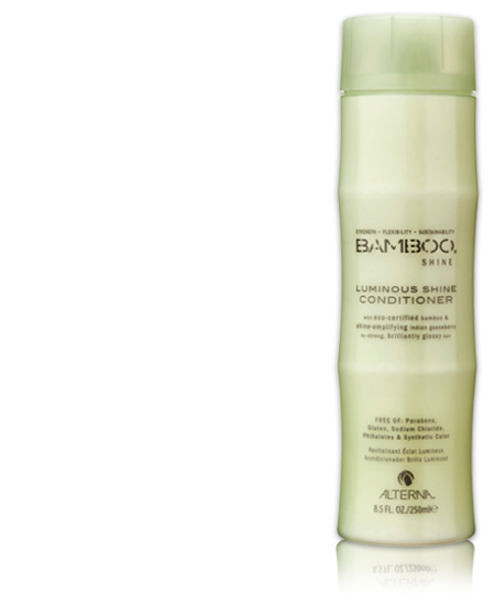 Alterna Bamboo luminoso lustro Acon.250Ml