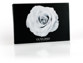 Cosmetica 66 Kit Shadows