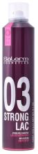 Fissaggio Spray 03 Strong Lac 300 ml Fissaggio Spray 03 Strong Lac 300 ml