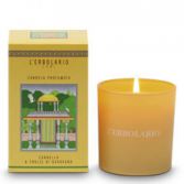 Candela Profumata con Foglie di Cannella e Geranio