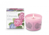 Candela profumata di Hortensia