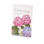 Borse Profumate peC cassetti di Hortensia