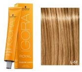 Igora Royal Fashion colorazione 60 ml Igora Royal Fashion colorazione 60 ml