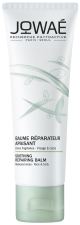 Balsamo Riparatore Lenitivo 40 ml
