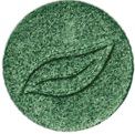 Ombretto Eologico Verde Muschio Luminoso 22 Sostituzione