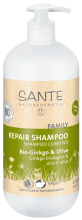 Shampoo Trattante Ginkgo e Oliva