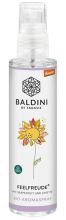 Deodorante per ambienti Rain of Joy glass spray 50 ml