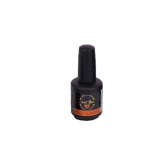 Conosci il Gel Polish 12 ml