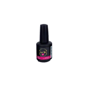 Conosci il Gel Polish 12 ml