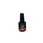 Conosci il Gel Polish 12 ml