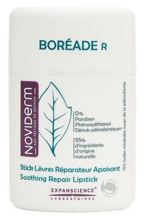 Riparazione di Boreade Stick Lip Riparazione di Boreade Stick Lip