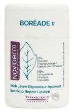 Riparazione di Boreade Stick Lip Riparazione di Boreade Stick Lip