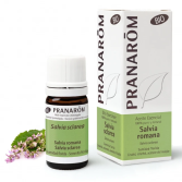 Roman Sage Essential Oil Roman Sage Essential Oil