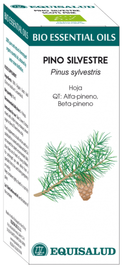 Olio essenziale di pino silvestre Bio 10 ml Qt: Alfa-Pi Olio essenziale di pino silvestre Bio 10 ml Qt: Alfa-Pi