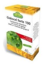 Ginkocel Forte 100 mg 40 capsule Ginkocel Forte 100 mg 40 capsule