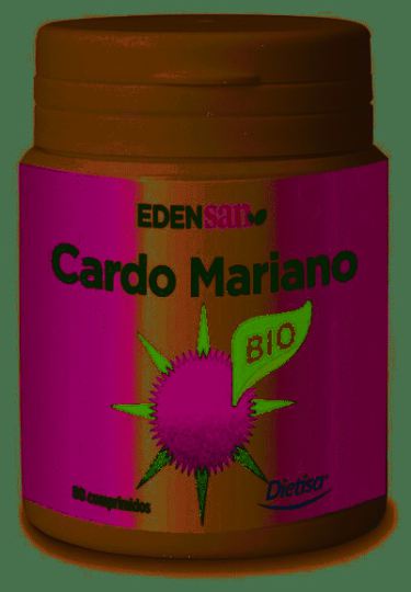 Cardo mariano Cardo mariano