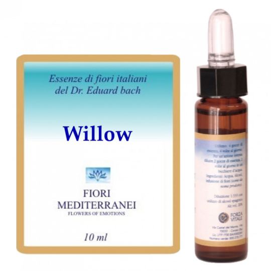 Forza Vitale Fm 38 Salice 10 ml