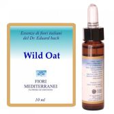 Fm 36 Wild Oat 10 ml Fm 36 Wild Oat 10 ml