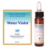 Fm 34 Water Violet 10 ml Fm 34 Water Violet 10 ml