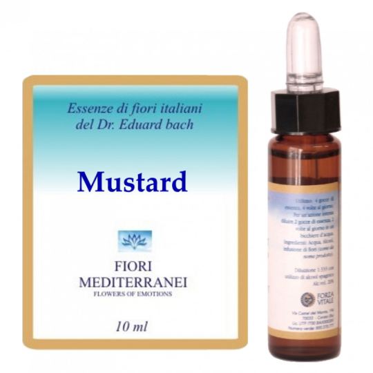 Forza Vitale Fm 21 Senape 10 ml