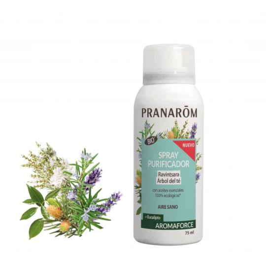 Spray Purificante Ravintsara Eucalyptus Bio eco