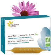 Porpoleos - Echinacea - Timo